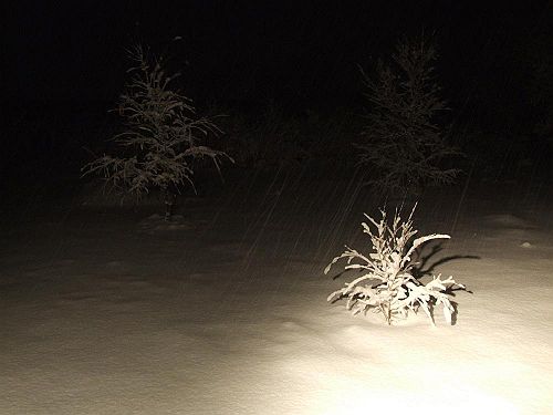 Snowfall