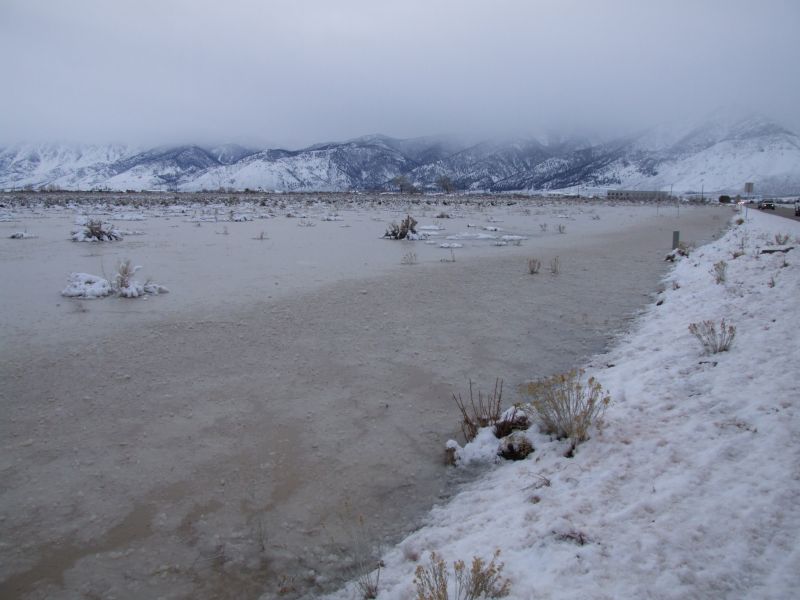 Ice Pond